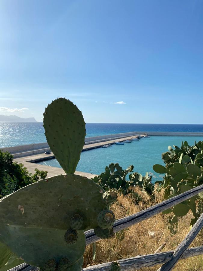 Casa Vacanze Il Girasole Balestrate Eksteriør bilde